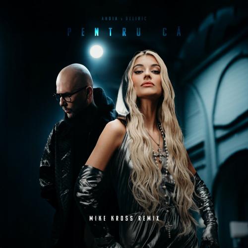 Andia feat. Deliric - Pentru Ca (Mike Kross Remix)