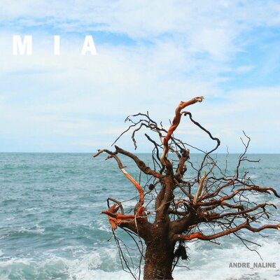 MIA - ANDRE_NALINE