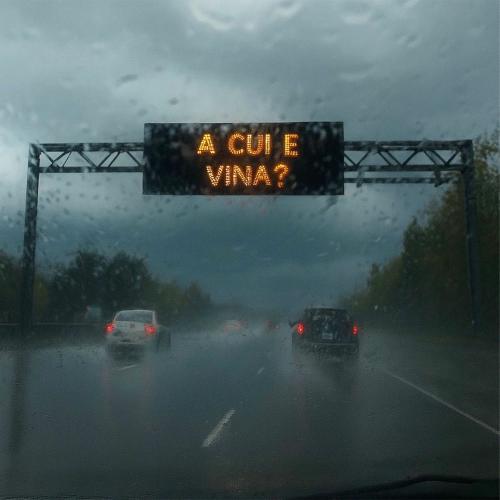 Andrei Ursu - A Cui E Vina