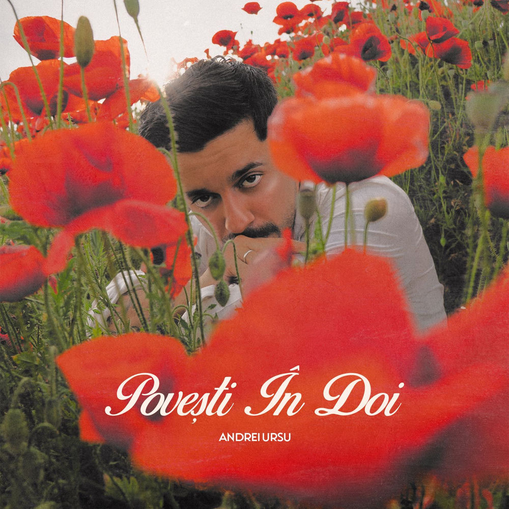 Povești În Doi - Andrei Ursu