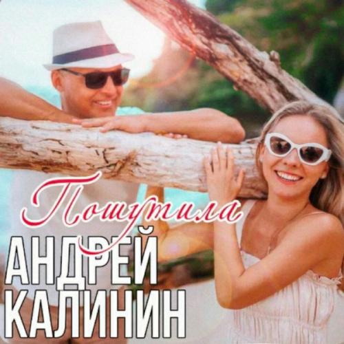 Андрей Калинин - Пошутила