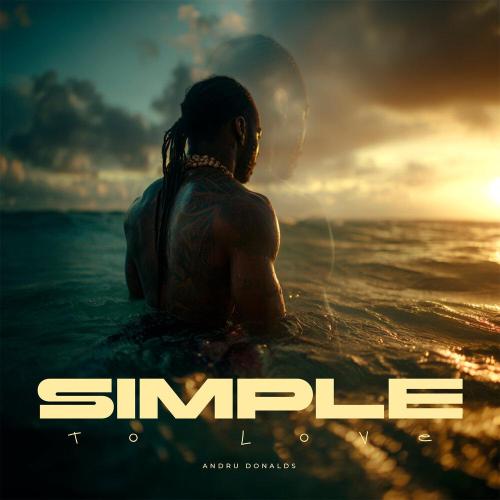Simple to Love - Andru Donalds
