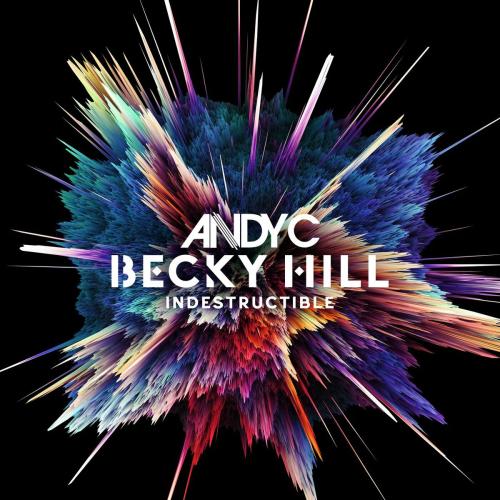 Andy C, Becky Hill - Indestructible (VIP)