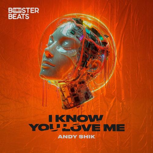 I Know You Love Me - Andy Shik