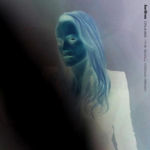 Ane Brun - Crumbs (The Small Crowd Radio Edit)