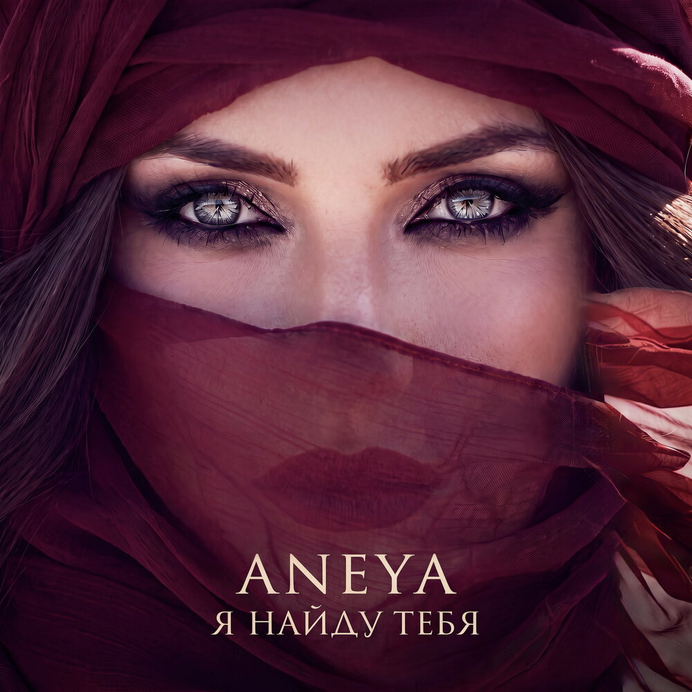 Я найду тебя - ANEYA