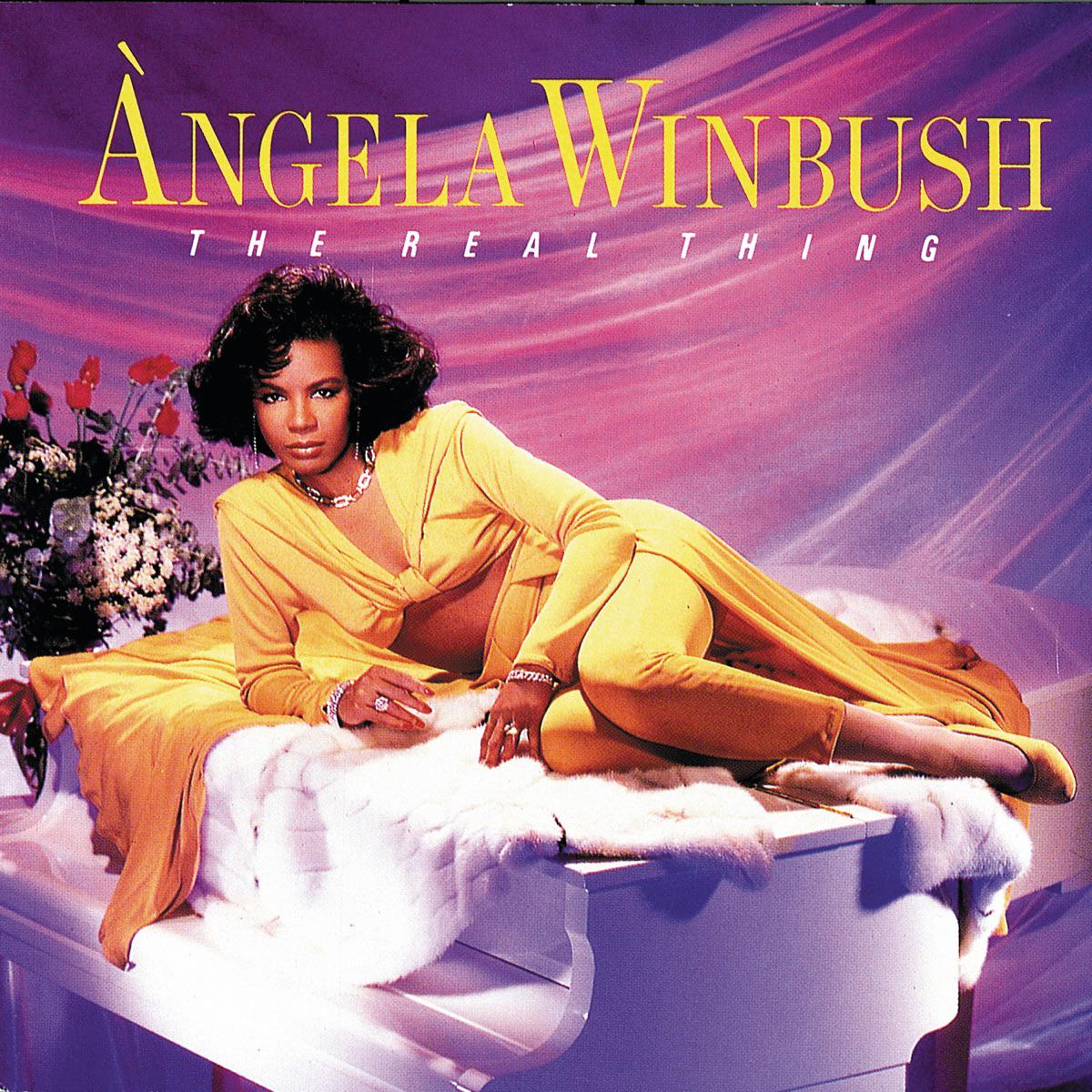 Lay Your Troubles Down - Angela Winbush & Ronald Isley