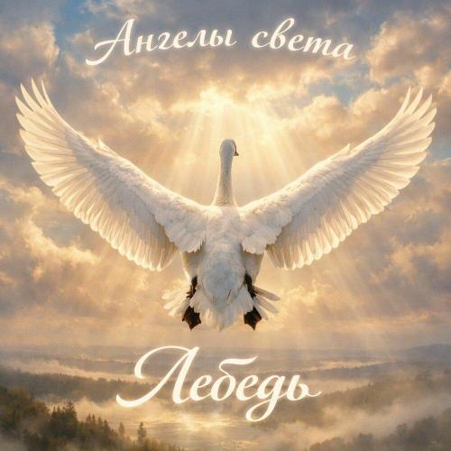 Лебедь - Ангелы света