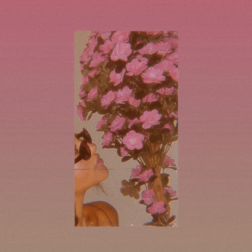 ANI - Плеяды
