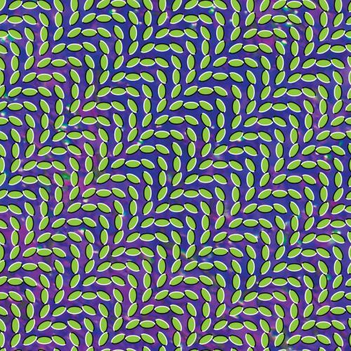 Animal Collective - My Girls