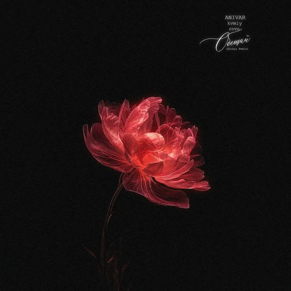 Обещай (Kavkaz Remix) - ANIVAR, kvmly, zovo