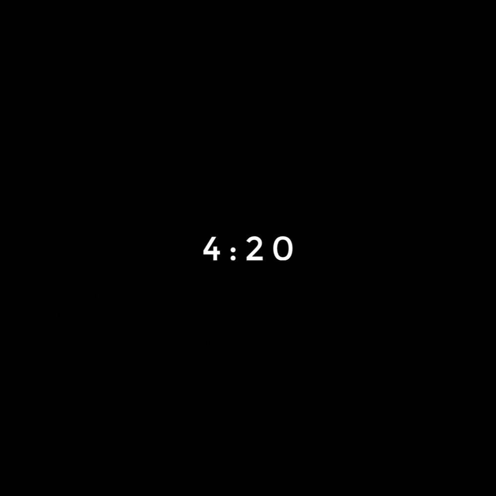 4-20 - Anokhin