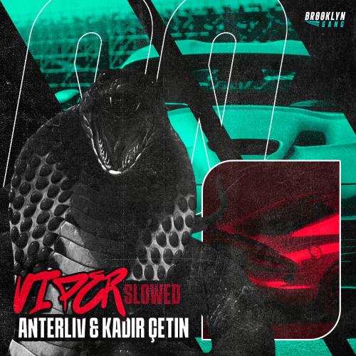 Anterliv & Kadir Çetin - Viper (Slowed)