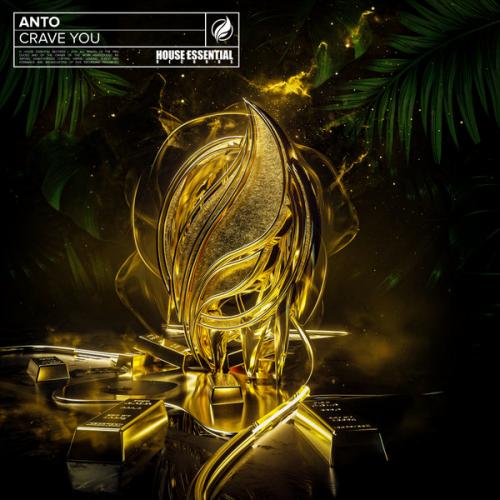 Crave You - Anto