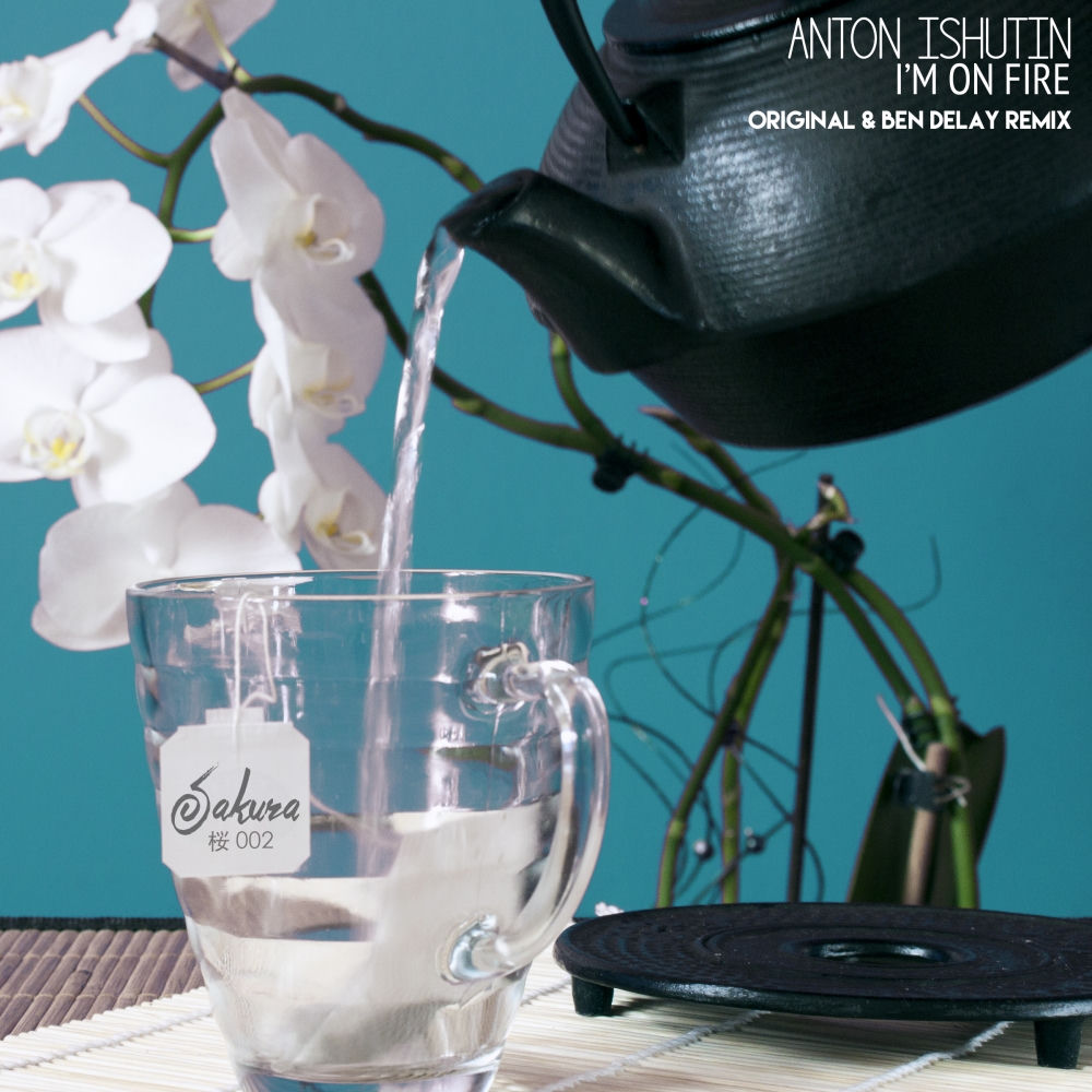I'm On Fire (Ben Delay Radio Edit) (Feat. Ben Delay) - Anton Ishutin feat. Ben Delay