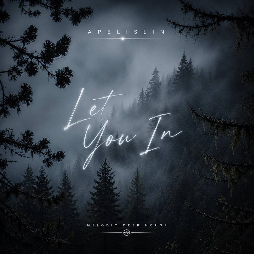 Let You In - Apelislin