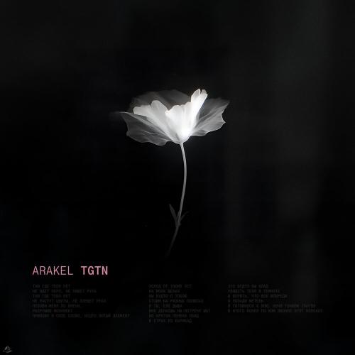 TGTN - АRAKEL