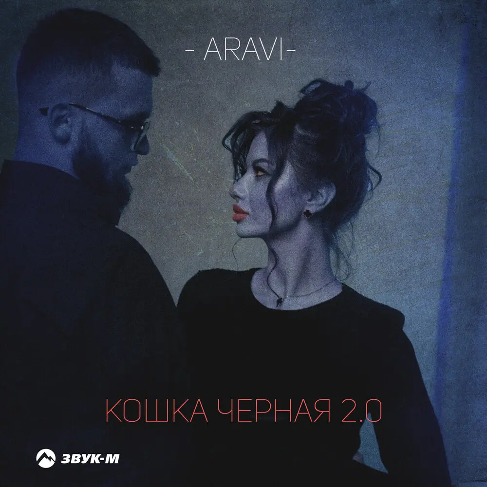 Кошка черная 2.0 - ARavi