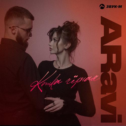 ARavi - Кошка чёрная