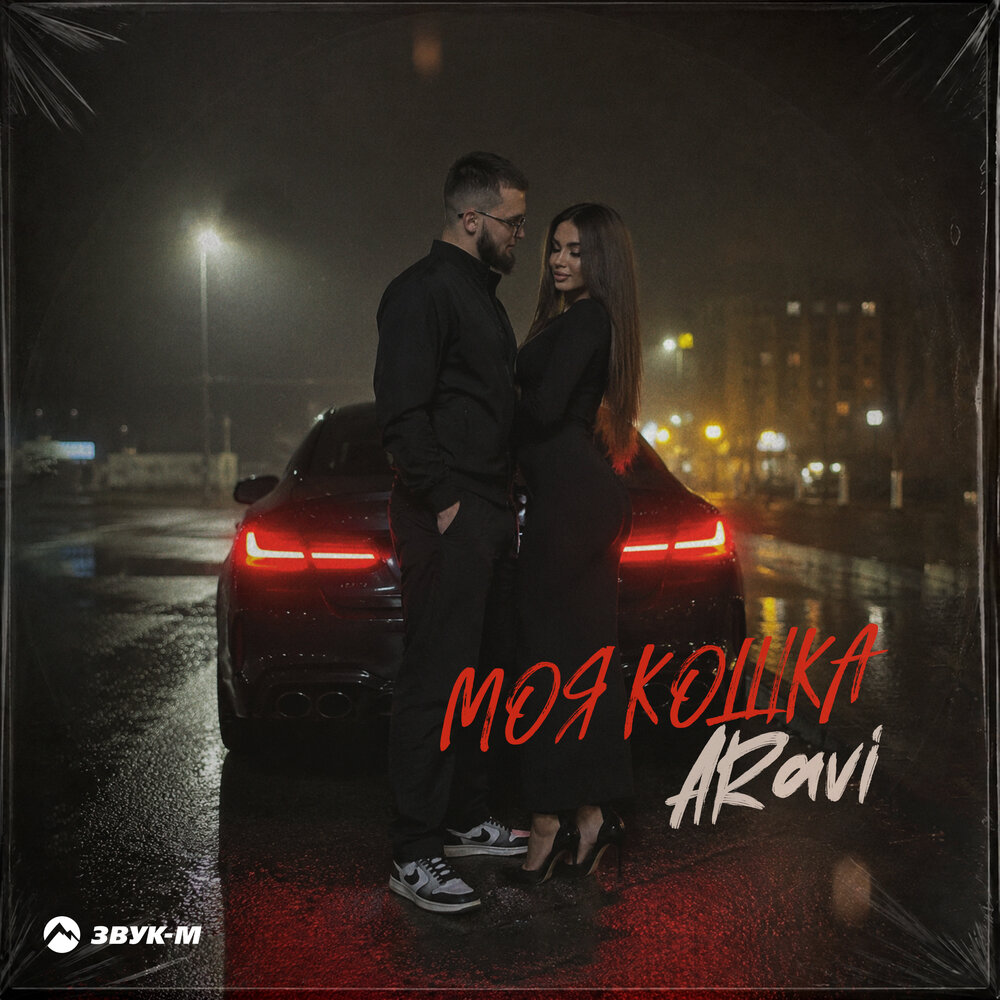Моя кошка - ARavi