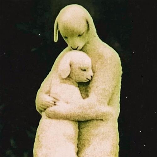 АРЧИС, uniqlox - нмс