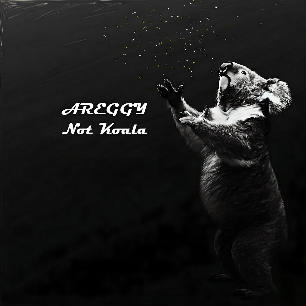 Not Koala - AREGGY