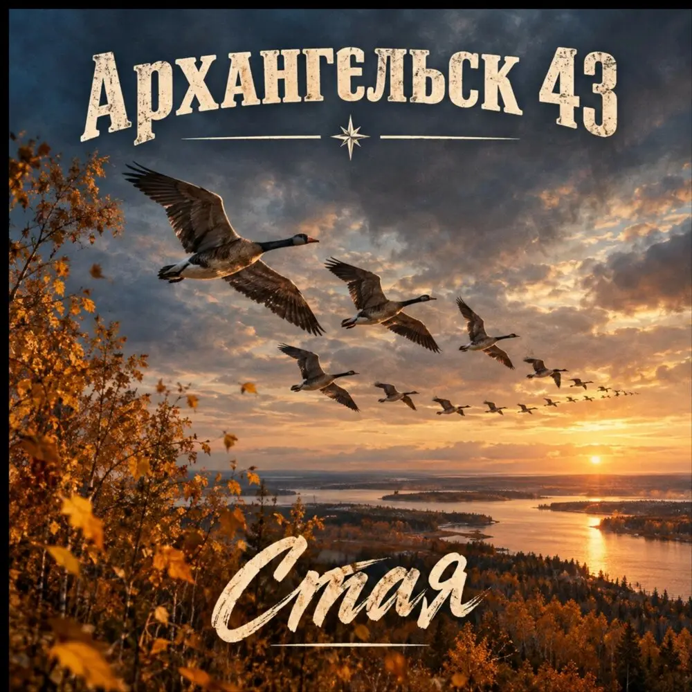 Стая - Архангельск 43