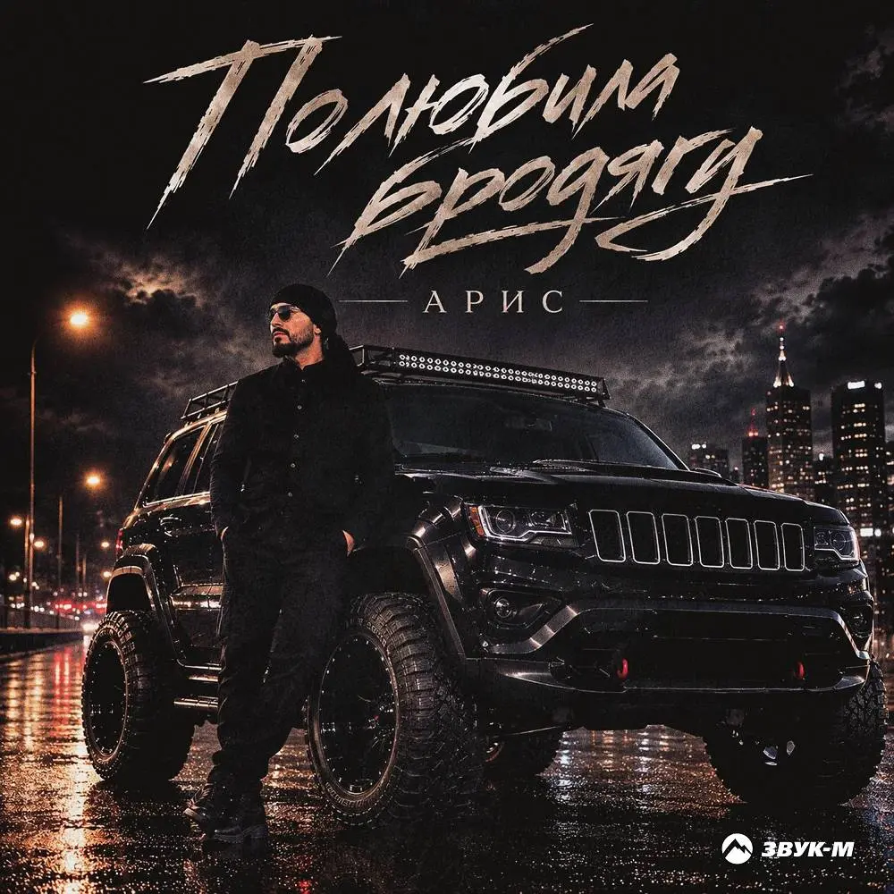Полюбила бродягу - Арис