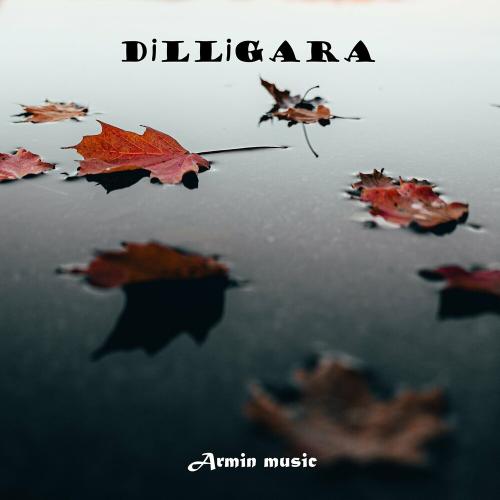 Dillirga - Armin music