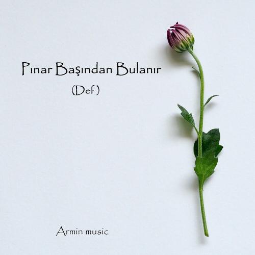 Pınar Başından Bulanır (Def) - Armin music