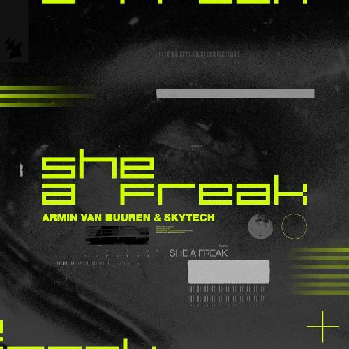 Armin van Buuren & Skytech - She a Freak