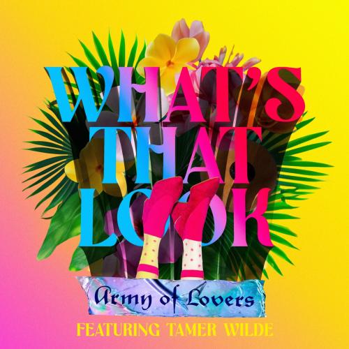 Army Of Lovers feat. Tamer Wilde - What Is That Look