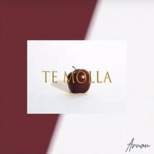 Arnon ft. Killua - Te Molla 