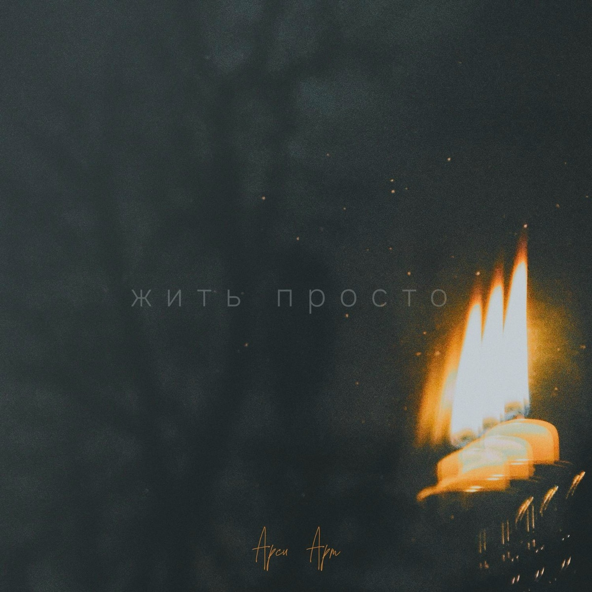 Жить просто - Арси Арт