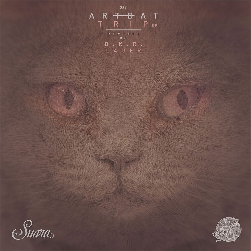 Wall (B.k.r. Remix) - ARTBAT