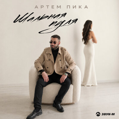 Шальная пуля - Артем Пика