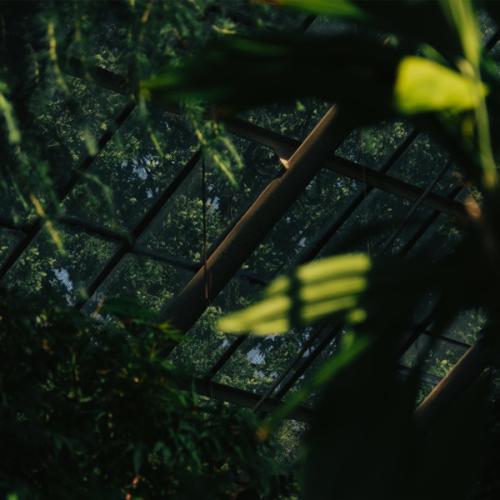 Artem Ramanau & Izzamuzzic - Breathe Again