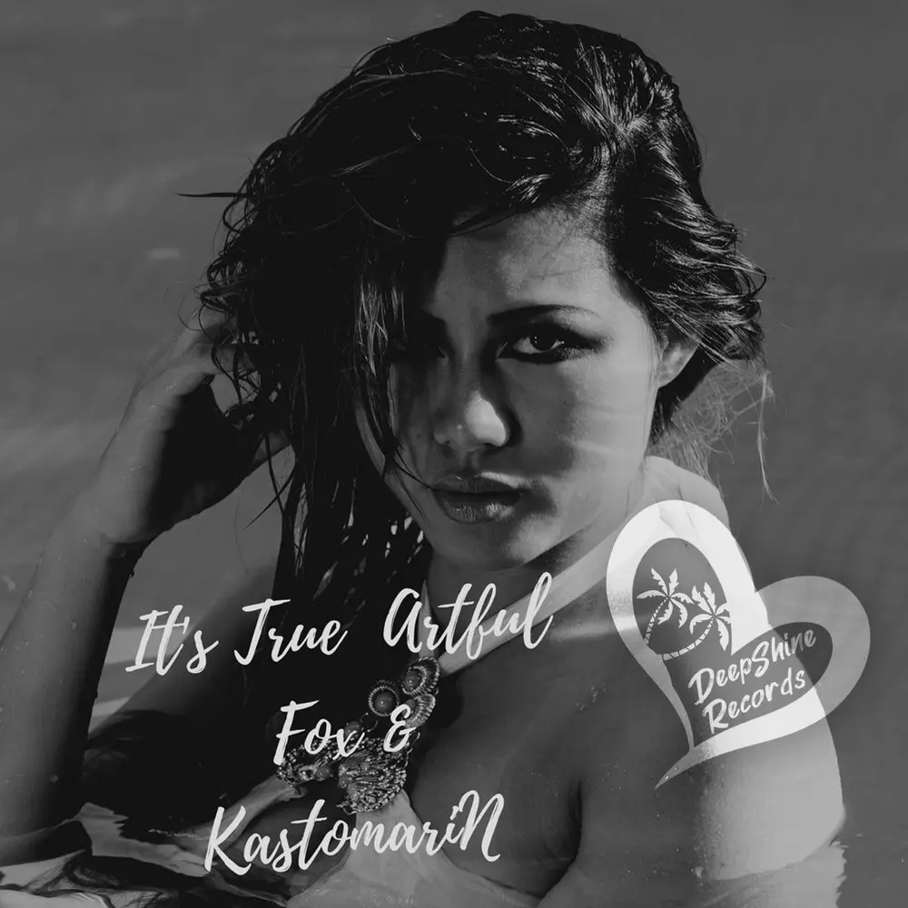 It's True - Artful Fox, KastomariN