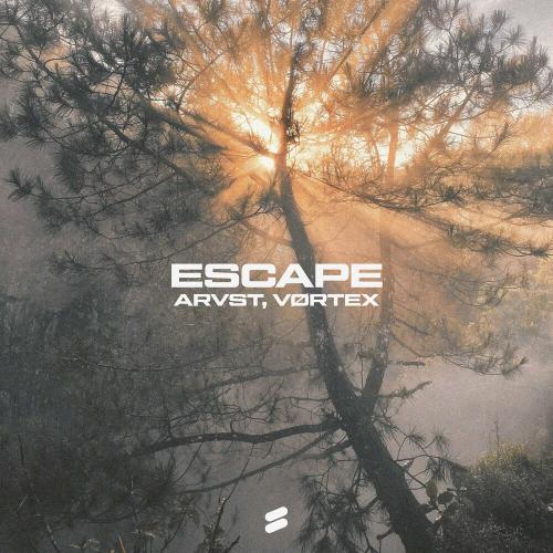 ARVST & VØRTEX - Escape