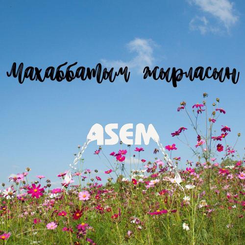 ASEM - Махаббатым жырласын