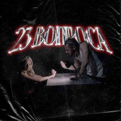 Аш 23 - 23 Вопроса