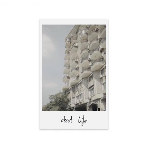 Ash - Homes