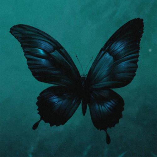 Ashess - butterfly effect (Spedup)