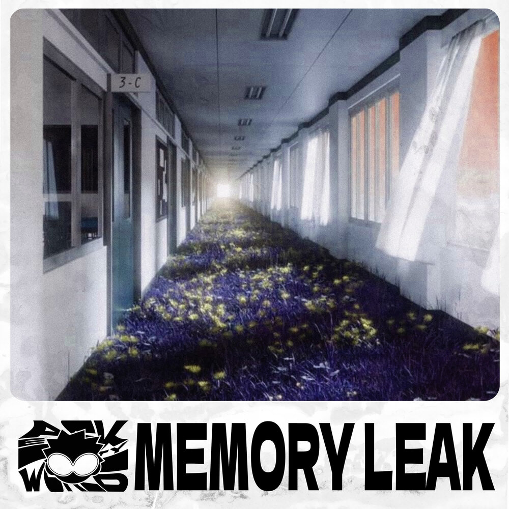 memory leak - ask eternity