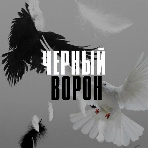 Аслан Улпанов - Черный ворон