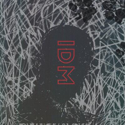 Asmir - IDM