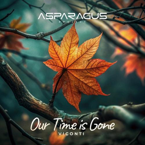 ASPARAGUSproject & VICONTI - Our time is gone