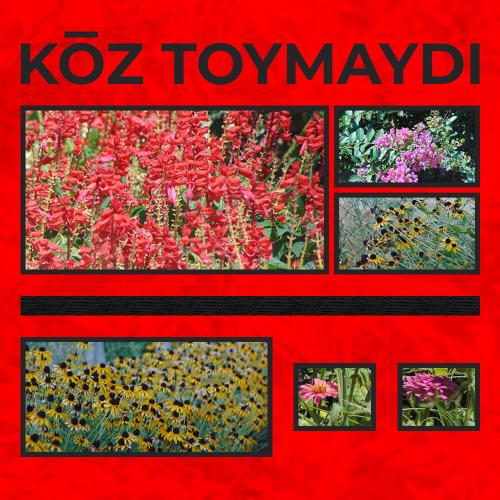 asqar, `kmd - toymaydı