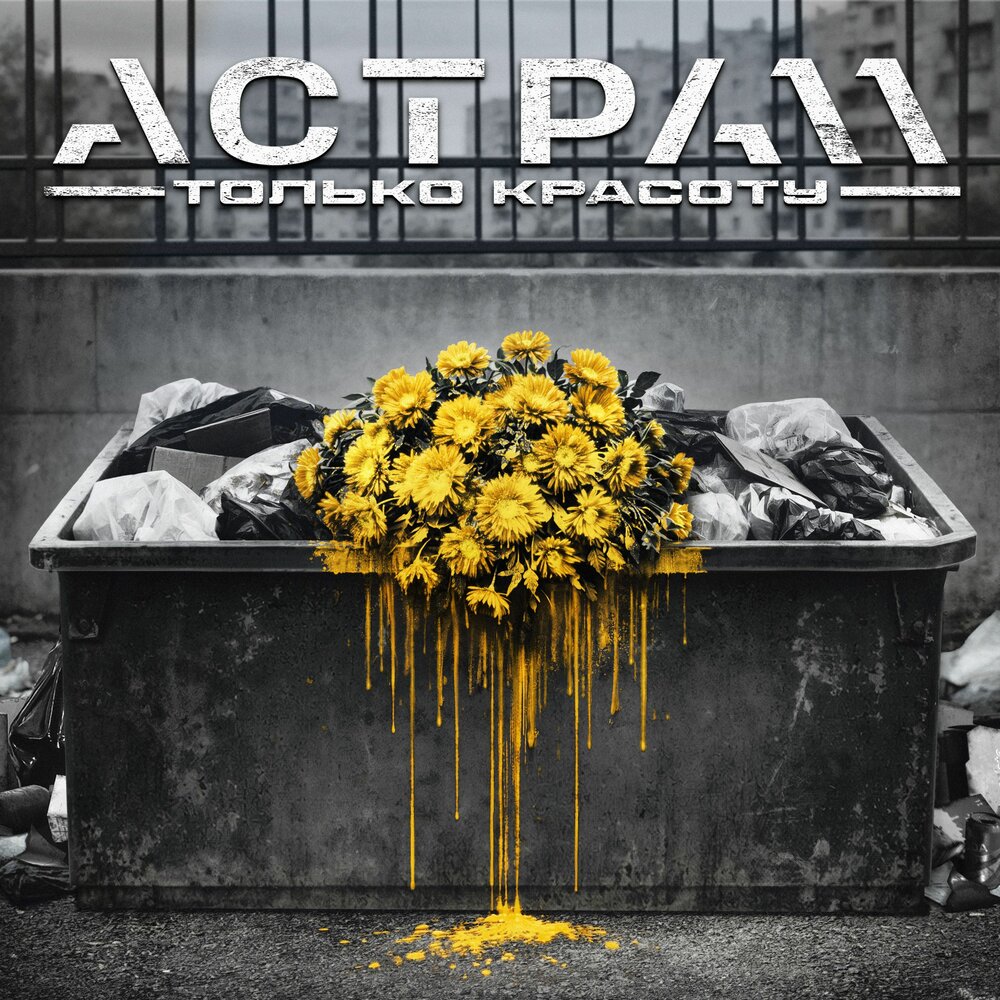 Только красоту - АСТРА 11