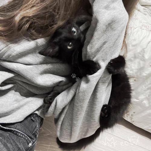 athysue - код